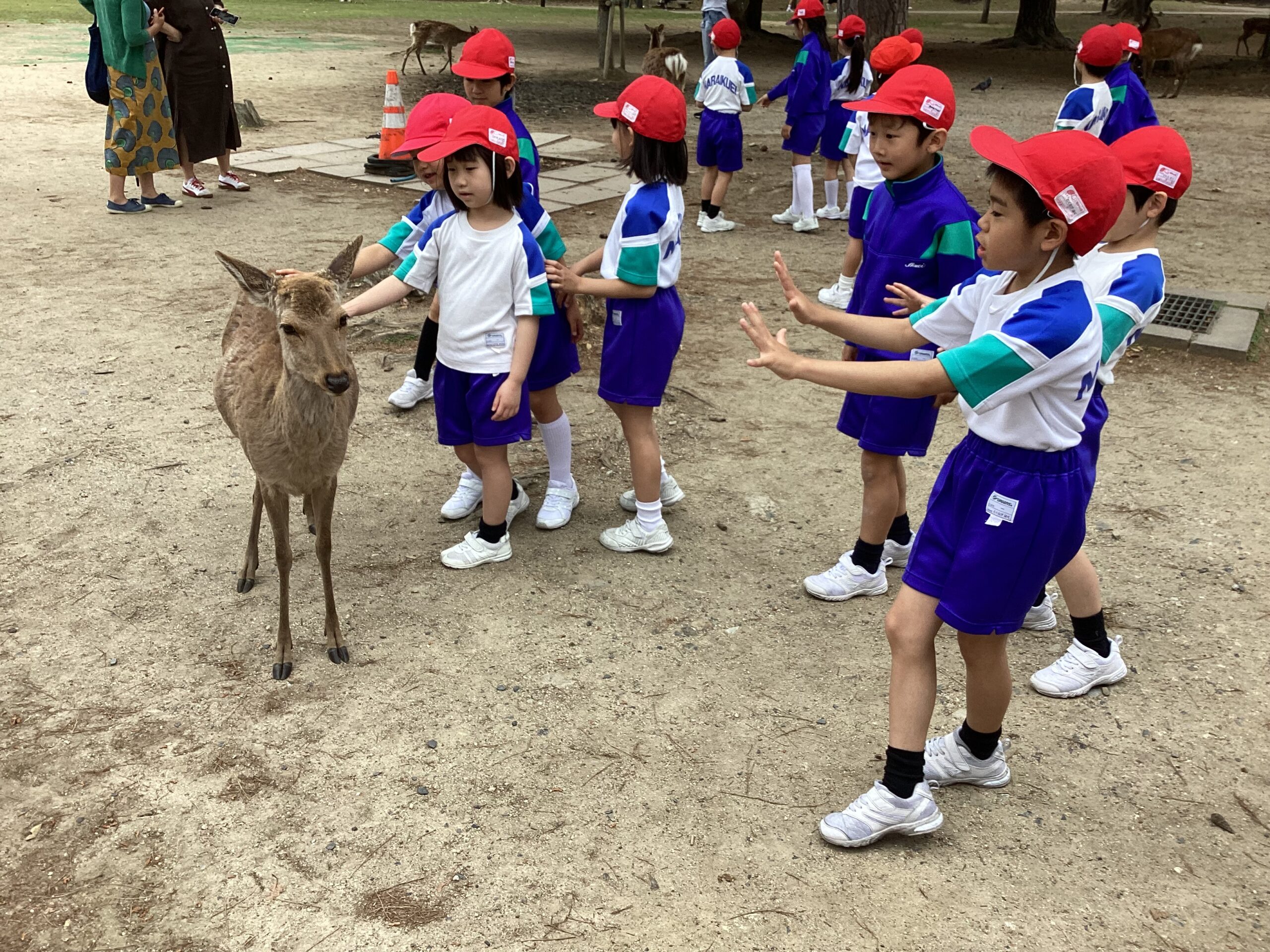 1,2年生 春の遠足